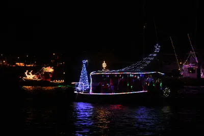 DSC_2528 (Large).JPG